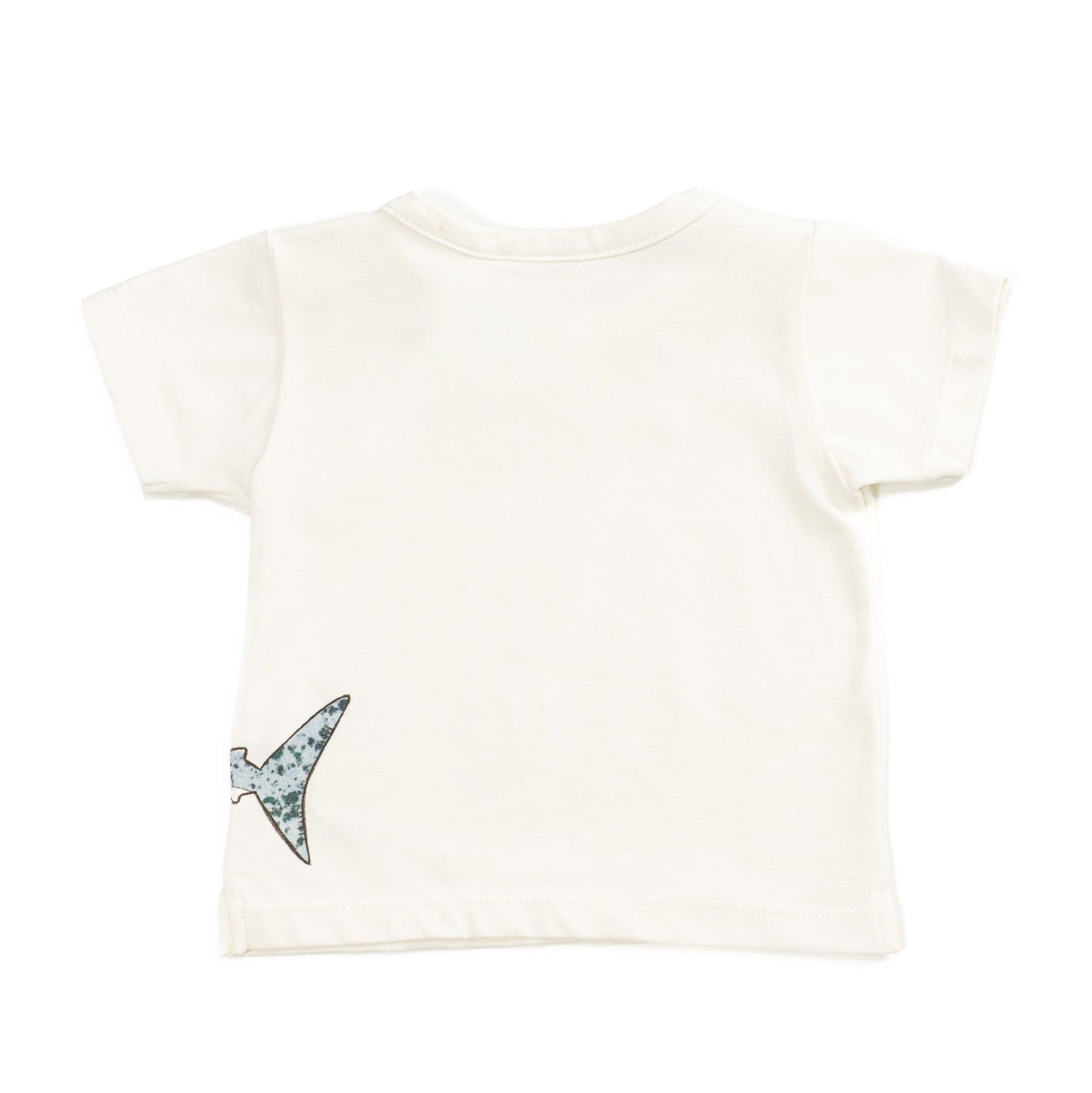T-SHIRT COCCODE'