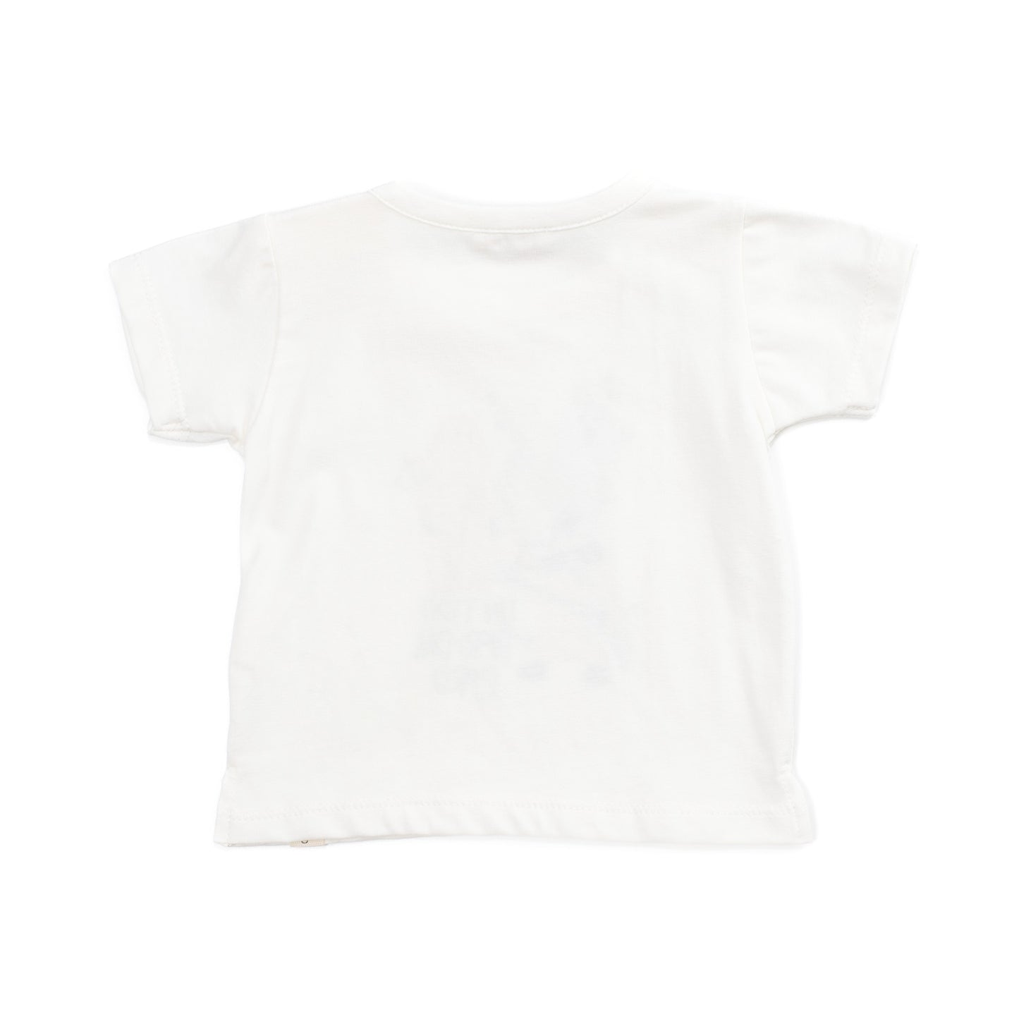 T-SHIRT COCCODE'