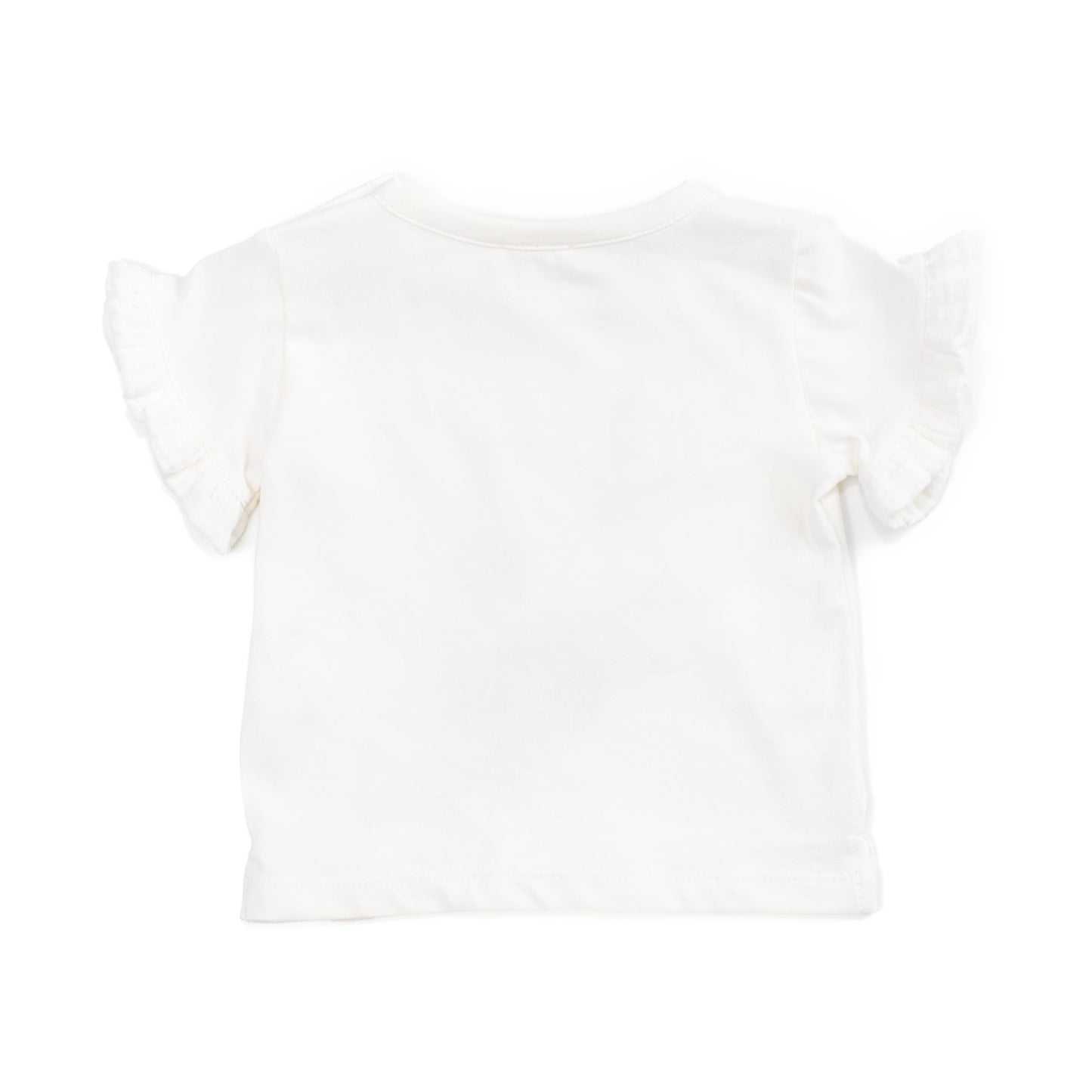 T-SHIRT COCCODE'