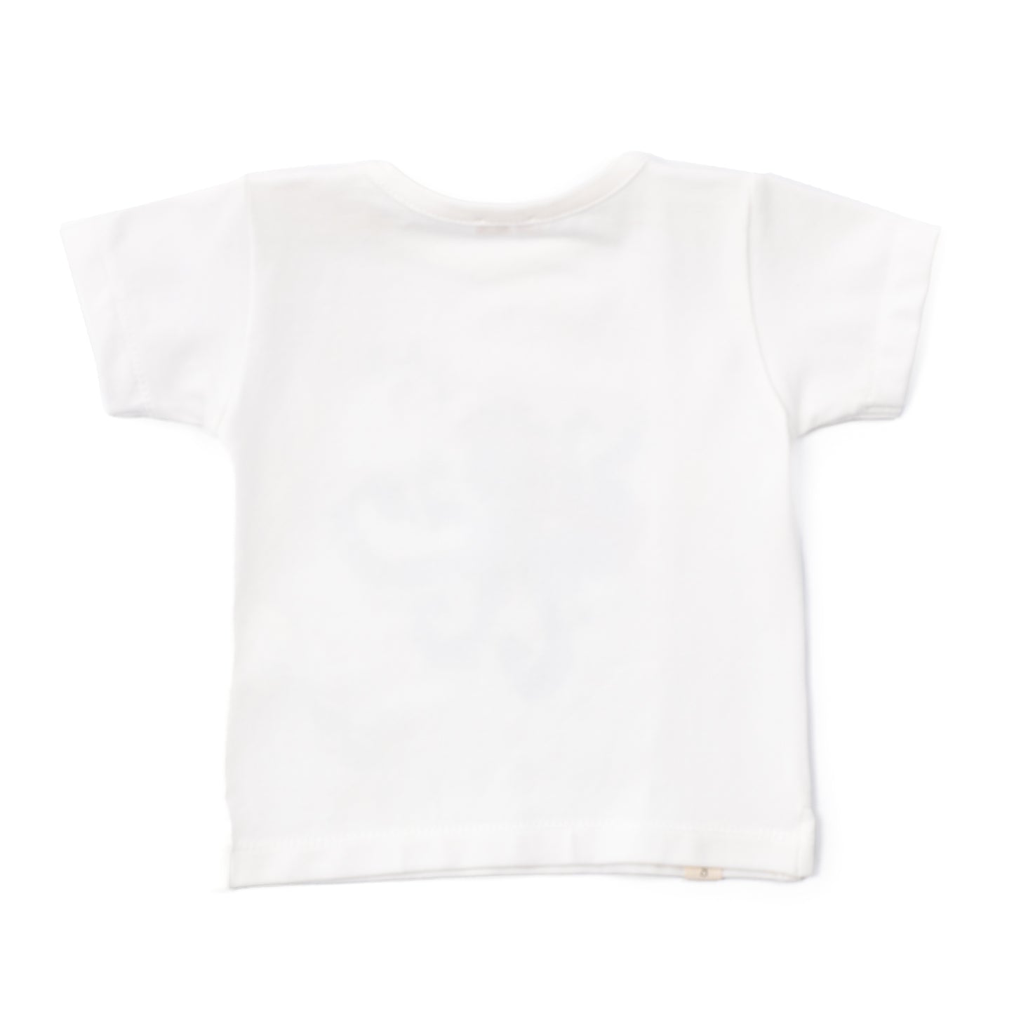T-SHIRT COCCODE'