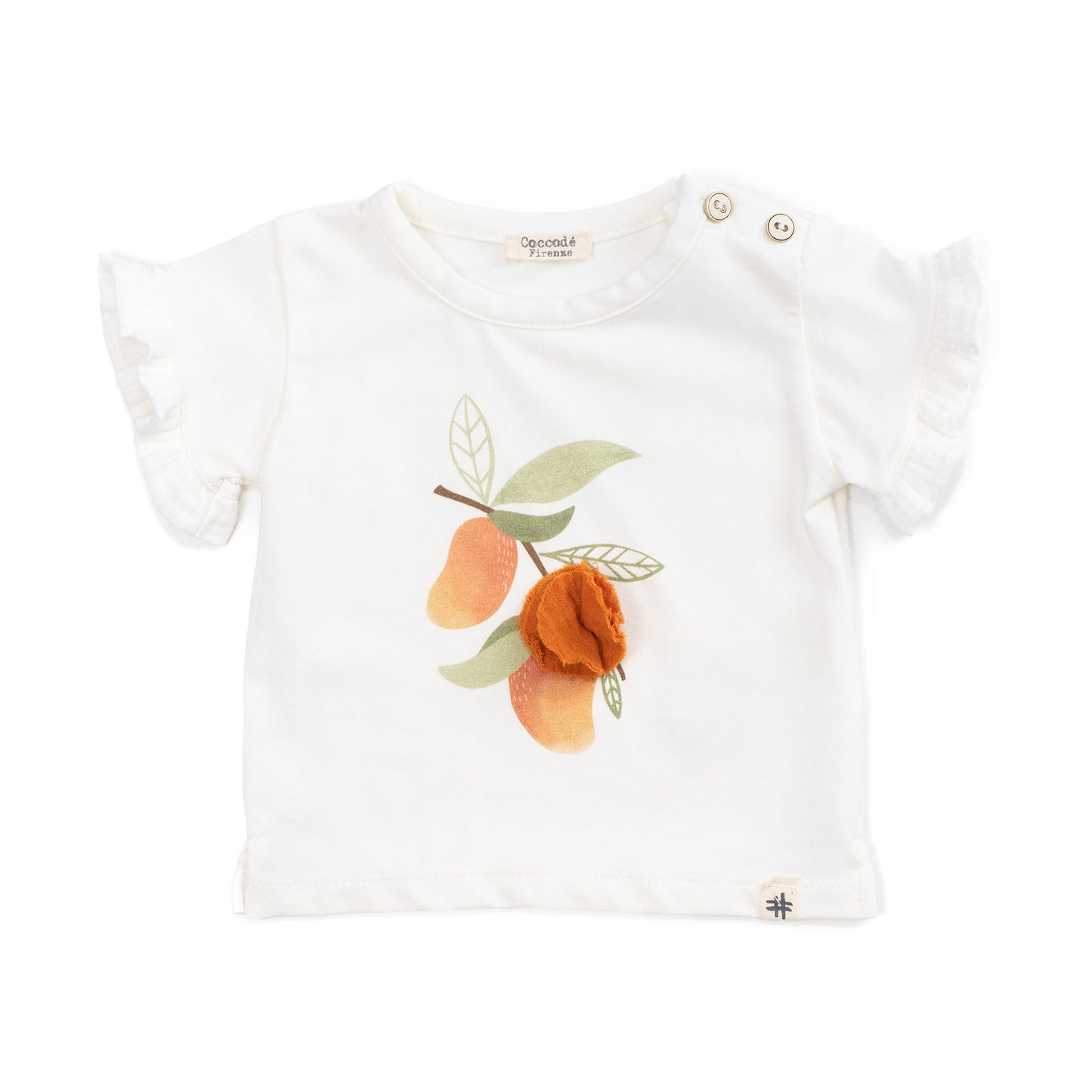 T-SHIRT COCCODE'