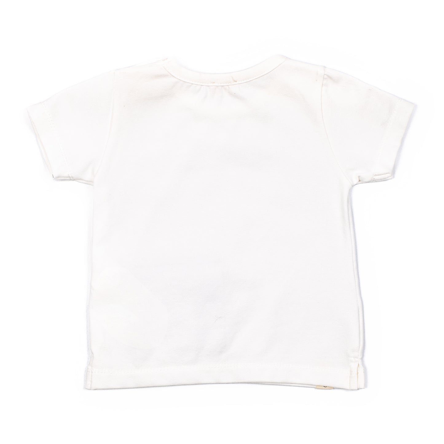 T-SHIRT COCCODE'