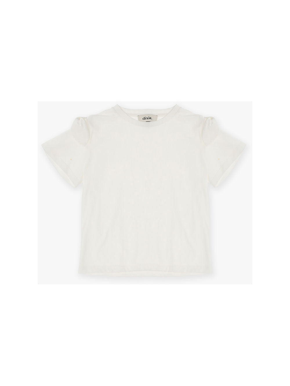 T-SHIRT DIXIE