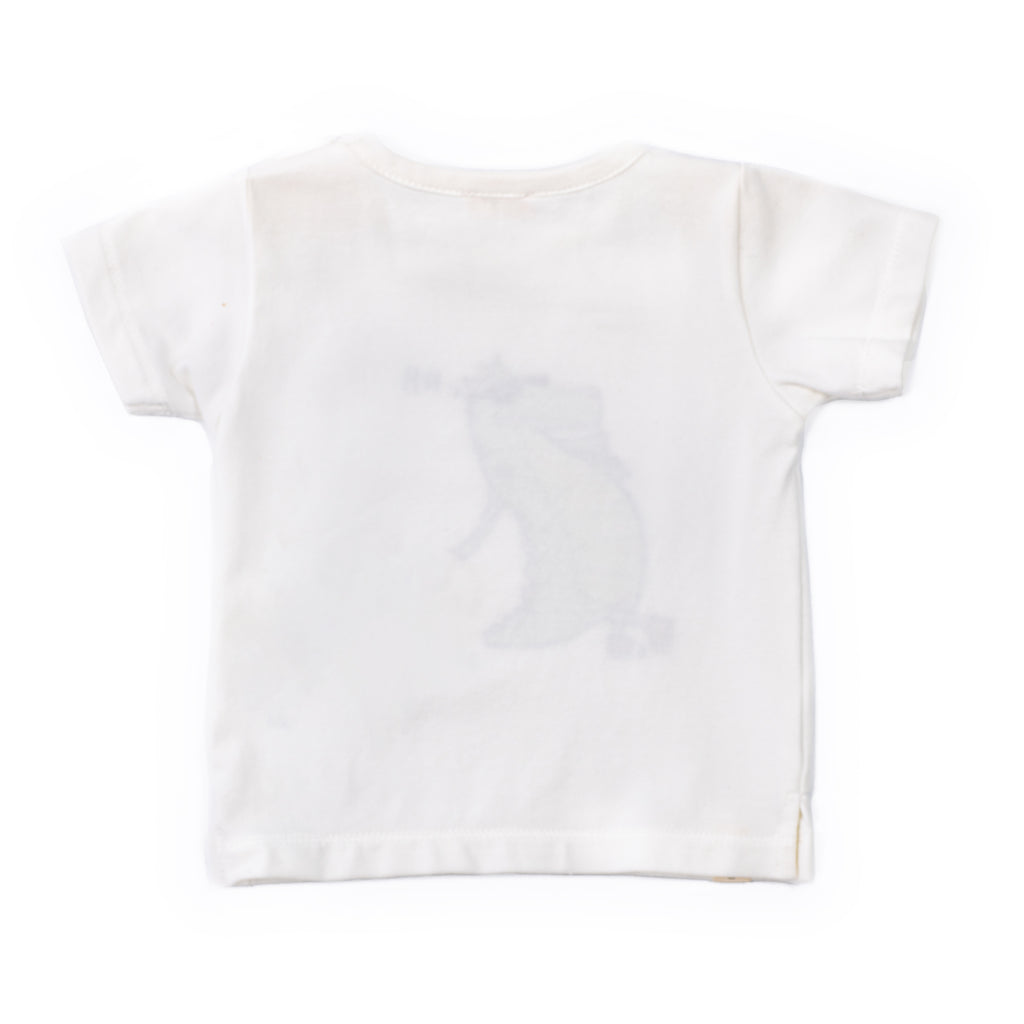 T-SHIRT COCCODE'
